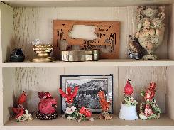 Bird Collection