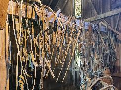 Harness, Hames & Primitives