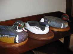 Duck Decoy Collection