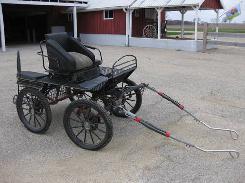               Freiburger Marathon Carriage