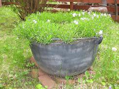 Cast Iron Scalding Kettle & Pots