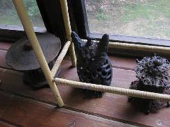 Decorative Iron Porch Lanterns, Bird Houses, Door Stops, Etc.