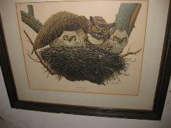 Wildlife Lithos by Richard Sloan