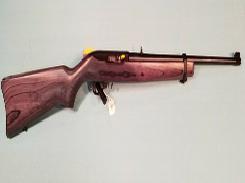 Ruger 10/22 Semi-Auto Rifle 