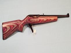 Ruger 10/22 Semi-Auto Rifle 