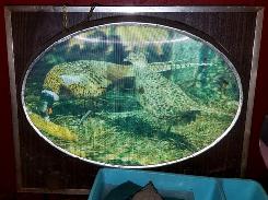 Pheasant Lighted Sign