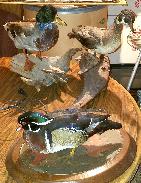 Water Fowl & Game Bird Mounts