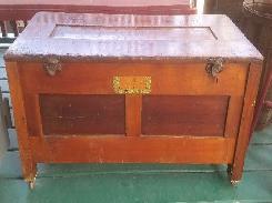 Wards Early Chick Incubator