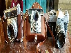Vintage Camera Collection