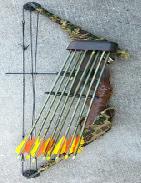 Cheetah Compound Archery Bow Set