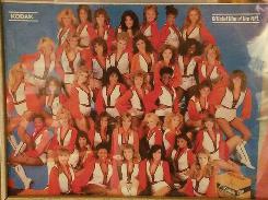 Chicago Bears 'Honey Bears' Poster
