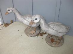 Concrete Geese w/Loads of Clothing