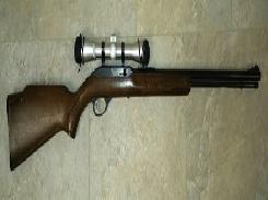 Glenfield Mod. 60 Semi-Auto Rifle 