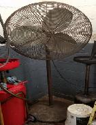 Dayton Commercial Pedestal Shop Fans
