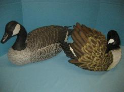 Canada Goose Hollow Carved Decoy