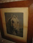 1880 Rosa Bonbeur Horse Portrait