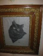  Black Cat Portrait