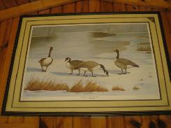 Ducks Unlimited 'Canada's at Queen Anne Lake' Artwork 