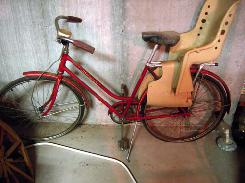 Schwinn Girl's Bicycle