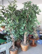 Artificial Fig Trees
