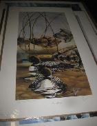 Wildlife Signed & Limited Framed Artwork