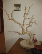 European Folk Art Shaved Tree