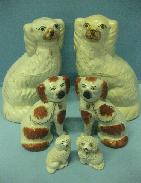 Staffordshire Spaniel Dog Collection