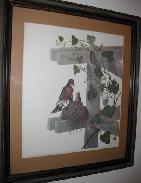 Thomas Price Smith Robin in Nest Framed & Matted Print