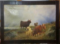 Scottish Long Hair Cattle & Ram Oil Painting