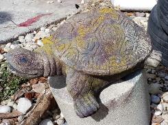Concrete Yard Turtles 