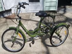 Komodo Platoon 7002 Adult Tricycle 
