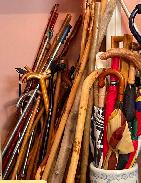 Cane & Walking Stick Collection
