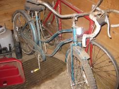Raleigh Girl's Bicycle 