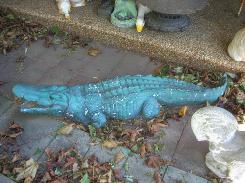 Cement Alligators 