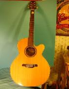Takimine G Series Acoustic Electric Guitar