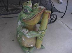 Mahogany Painted Frog 