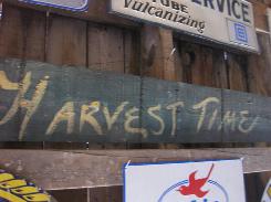 Harvest Time Wooden Sign 