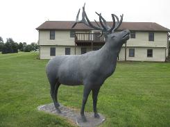 Cast Aluminum Elk Statue