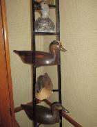 Duck Decoy Collection 