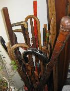 Carved Canes & Walking Stick Collection 