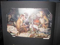 Large Selection of Lithos 